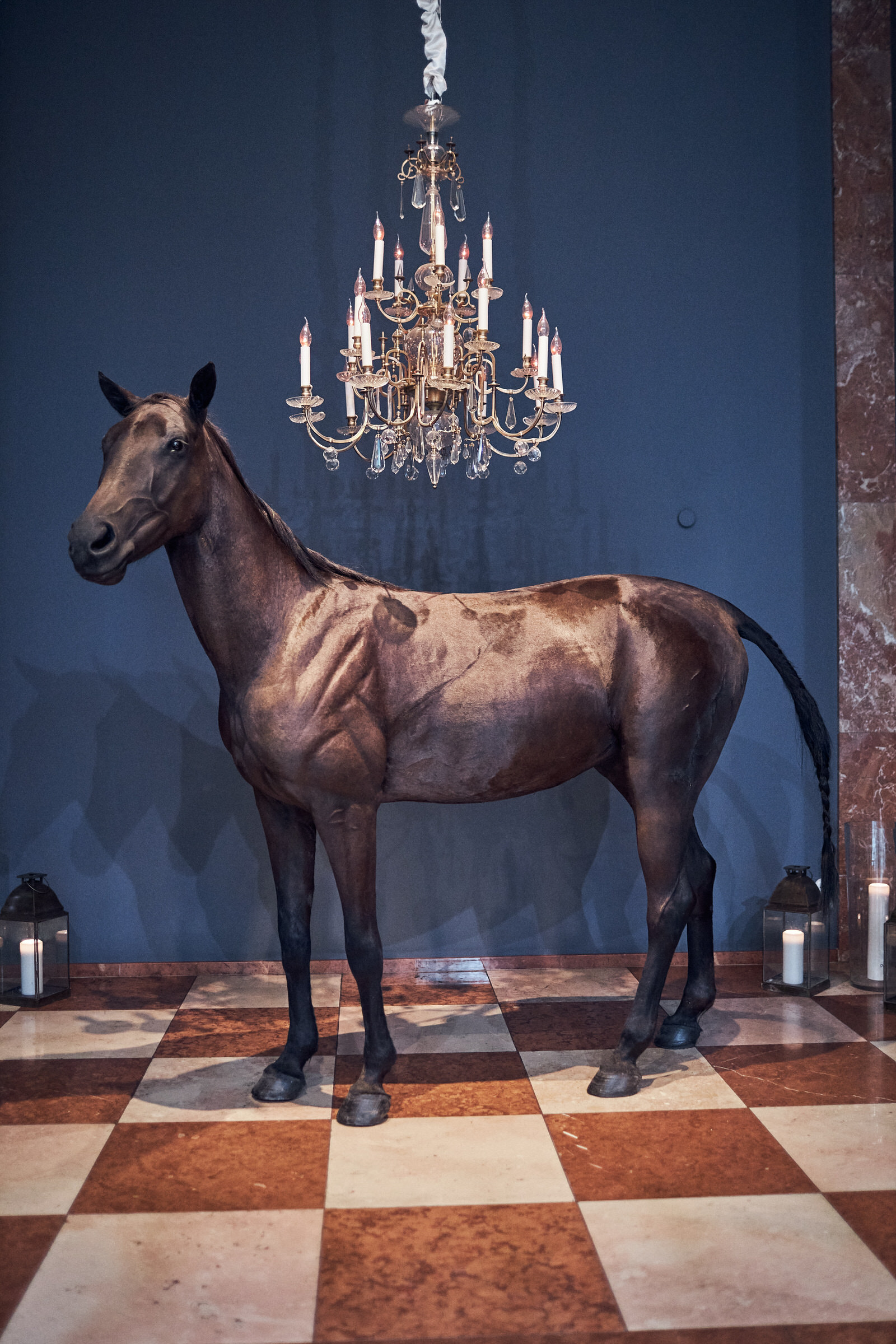 Paul_Pizzera_300dpi_095